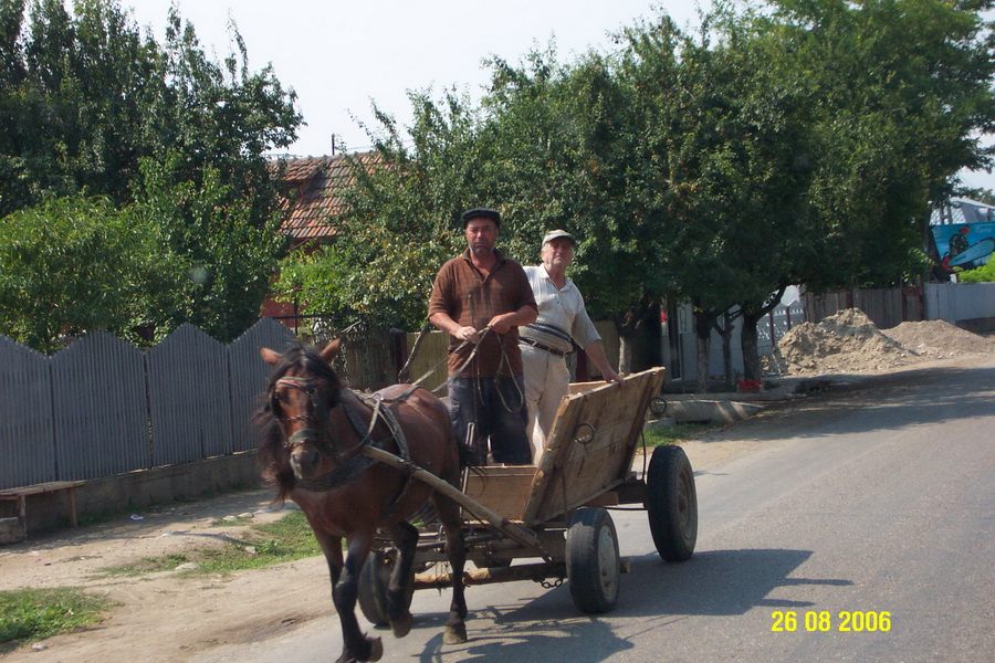 2006-08-26 12-13-46.JPG - 2006-08-U-RO>Suche nach den Schlammvulkanen